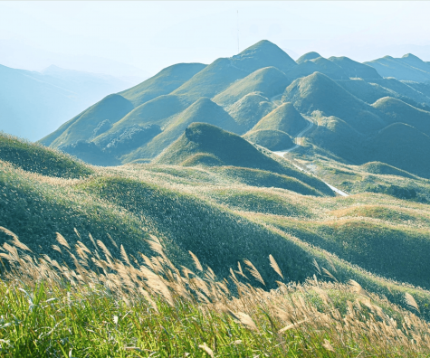 BÌNH LIÊU MÙA CỎ LAU 2N1Đ