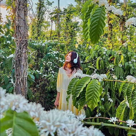 [QUÝ I.2025] ĐẠI NGÀN TÂY NGUYÊN MÙA HOA CAFE: BUÔN MÊ THUỘT - PLEIKU  4N3D