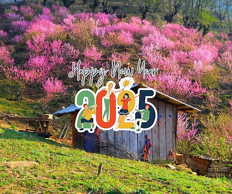 [TẾT NGUYÊN ĐÁN 2025] KHÁM PHÁ ĐẠI NGÀN Y TÝ 2N1D