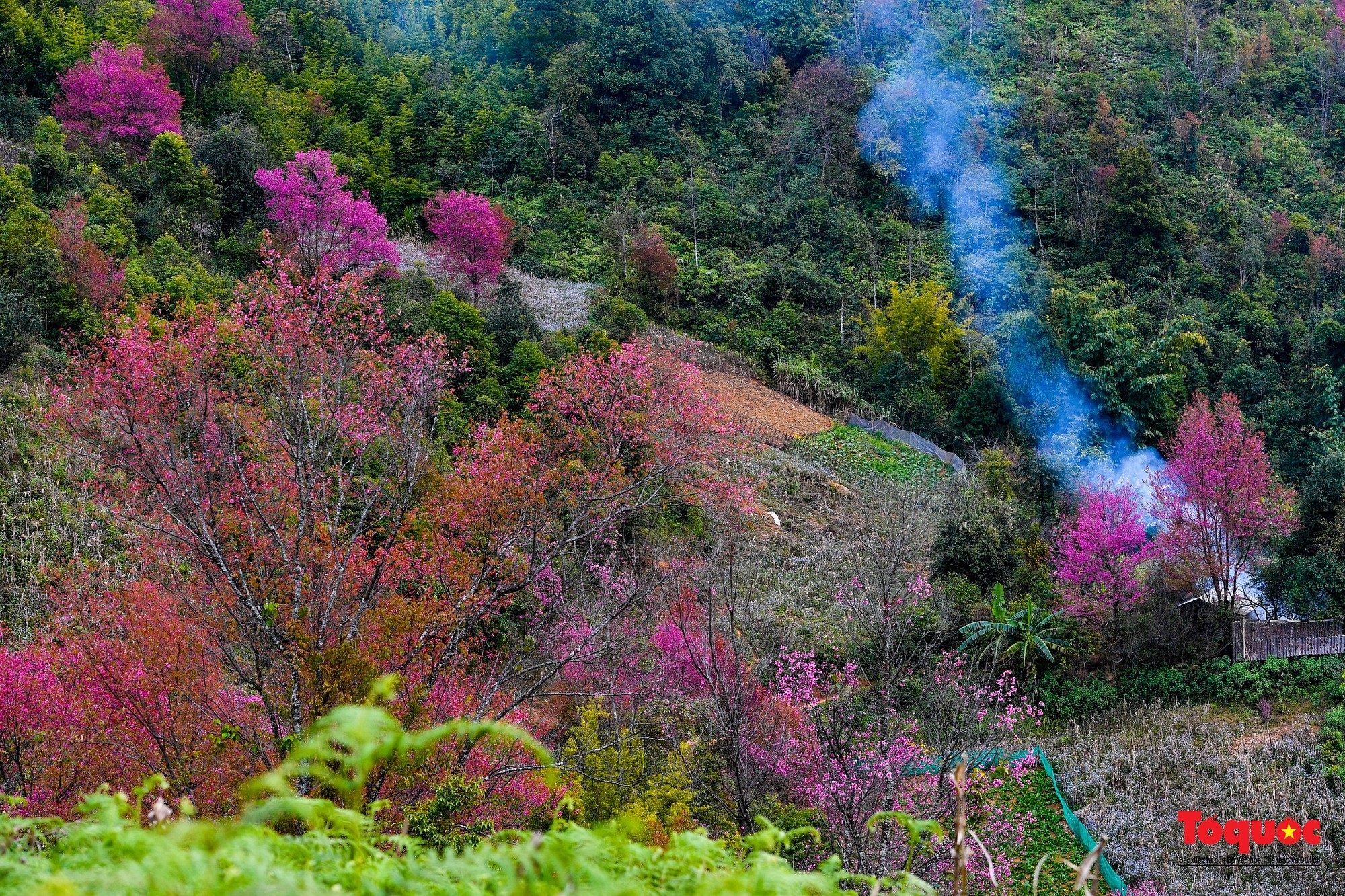 Hết mùa lúa, Mù Cang Chải có gì? - Ảnh 4