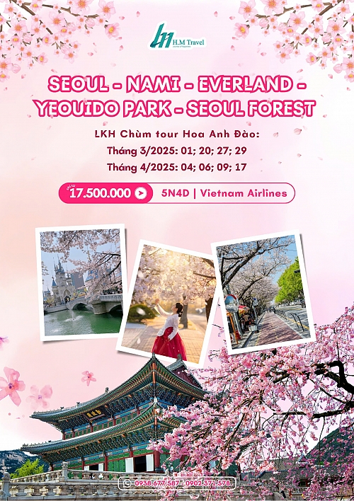 HM Travel Booking Office cung cấp những dịch vụ đặt vé và hỗ trợ du lịch nào?