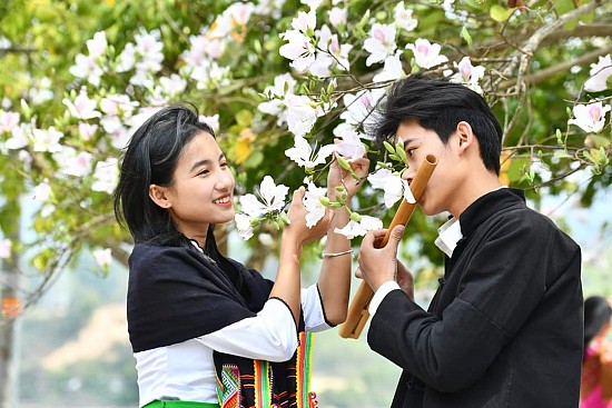 Khám Phá Điện Biên: Thiên Nhiên Hùng Vĩ và Ẩm Thực Đặc Sắc Tây Bắc