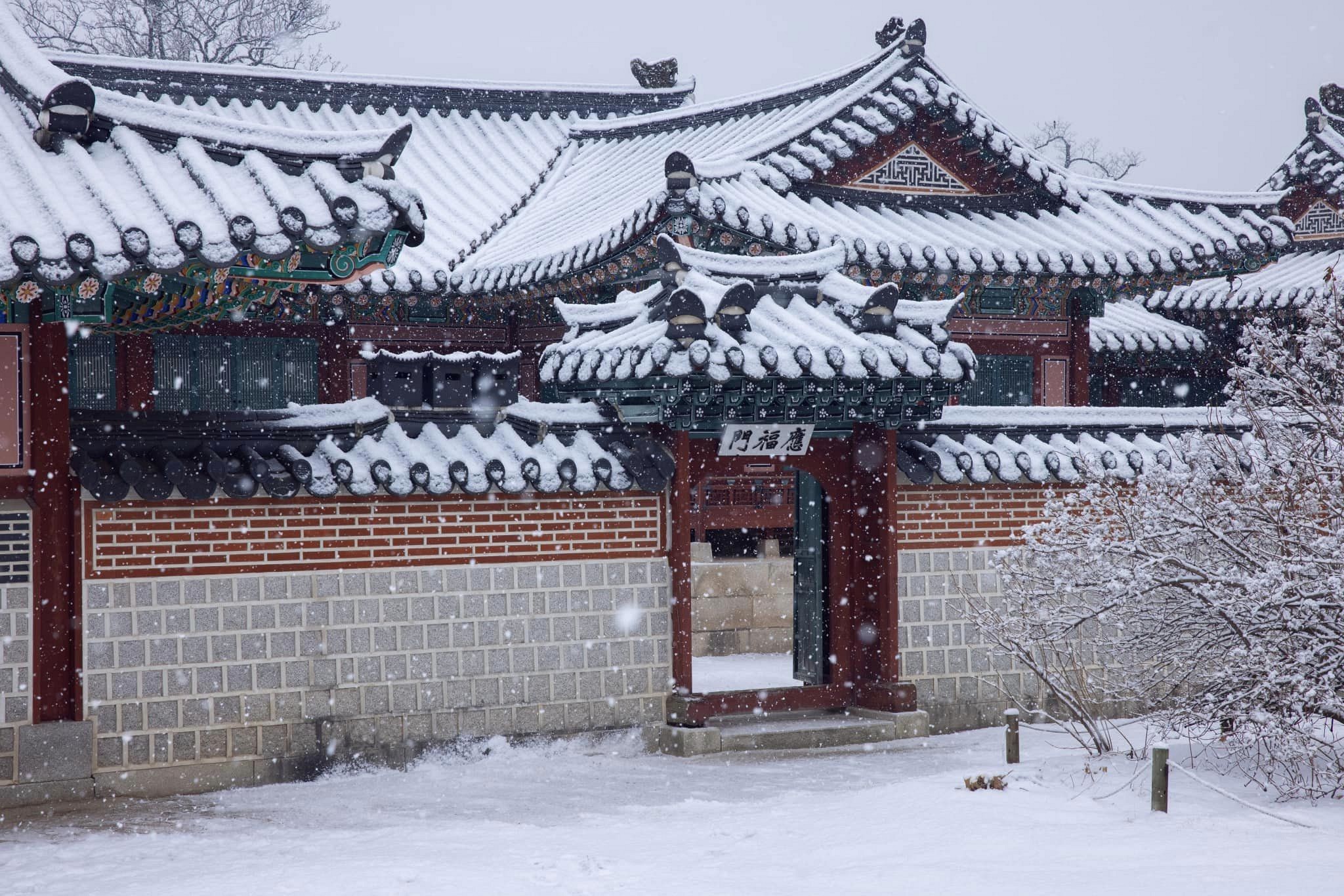 2024, Hàn Quốc miễn visa theo đoàn cho khách Việt - Ảnh 1