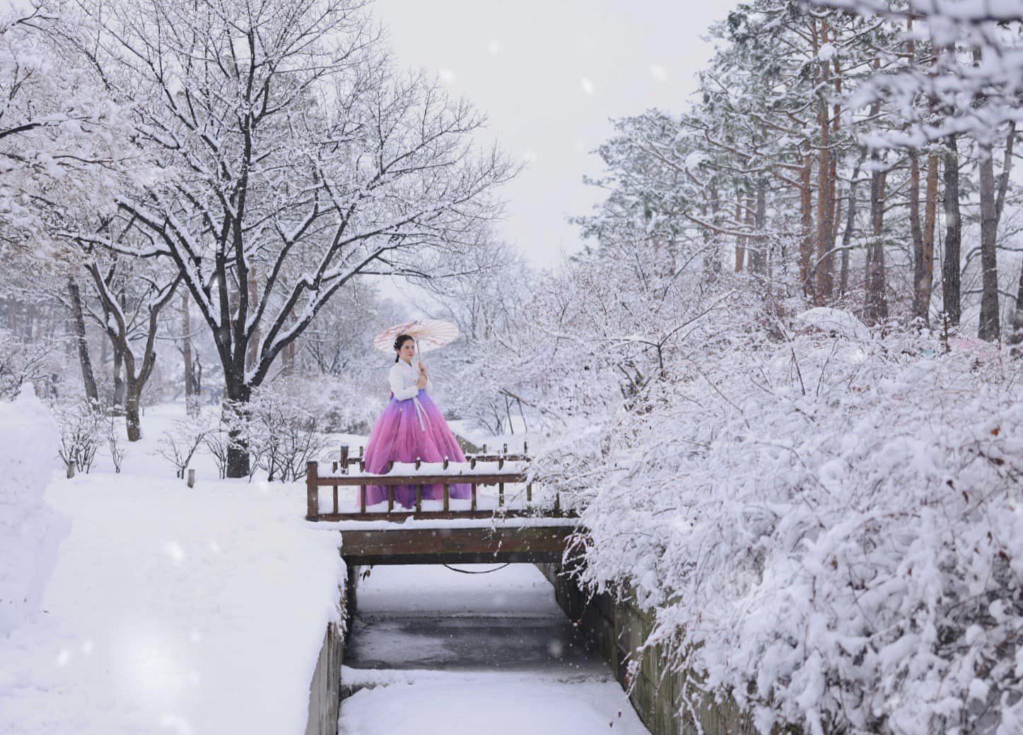 2024, Hàn Quốc miễn visa theo đoàn cho khách Việt - Ảnh 2